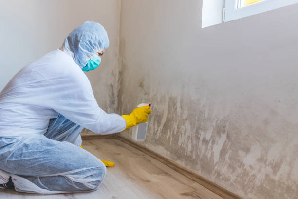 Mold Remediation specialist working in Winter Springs